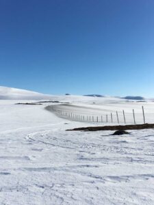 Kolstybb påskyndar snösmältning längs renstängsel. Foto: Joakim Tallbom