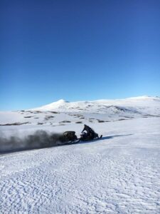 Spridning kolstybb längs renstängsel. Foto: Joakim Tallbom