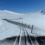 Renstängslet tinar fram bra med hjälp av kolstybb. Foto: Jocke Tallbom